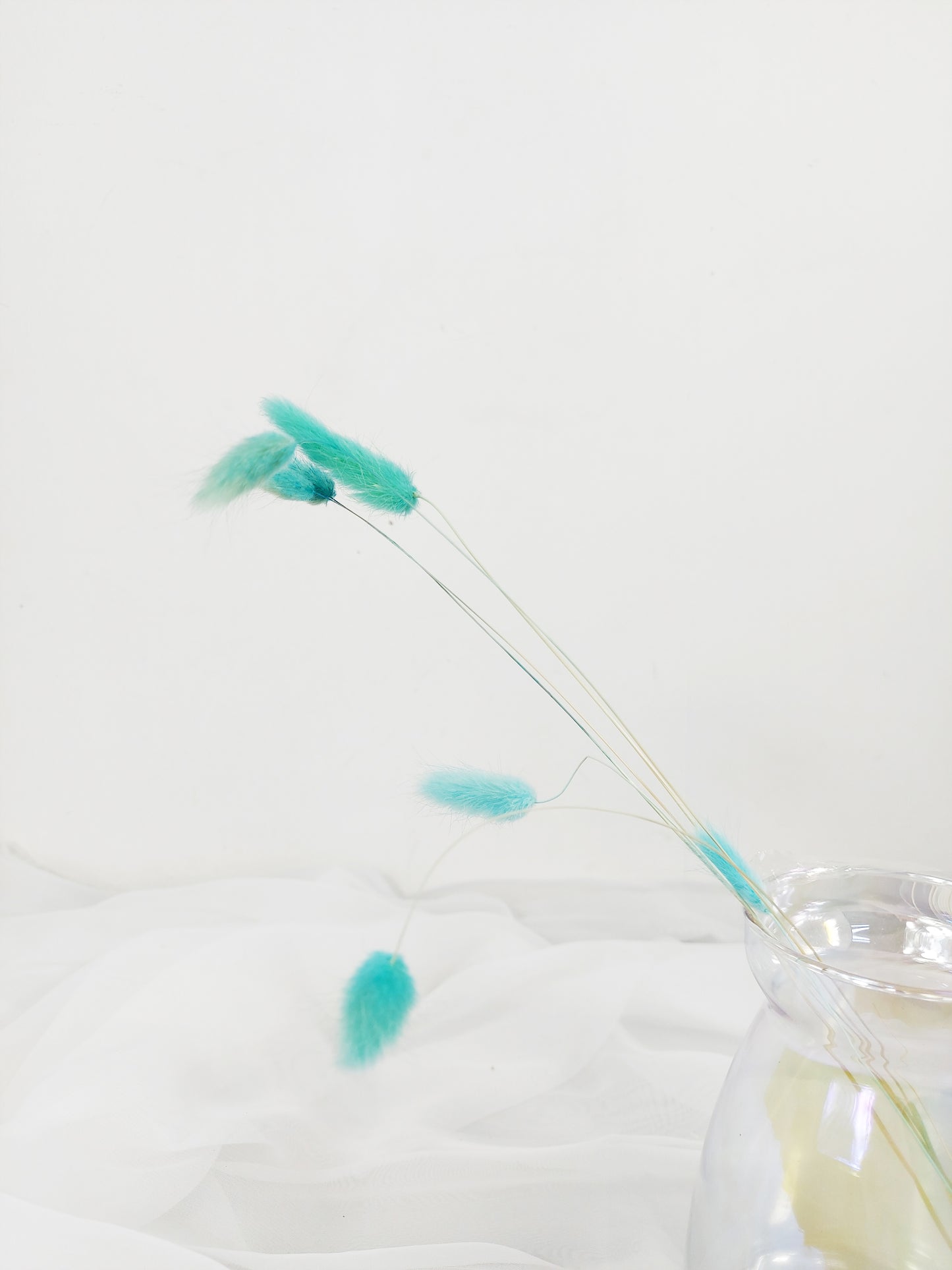 Bunny Tails - Ocean Teal