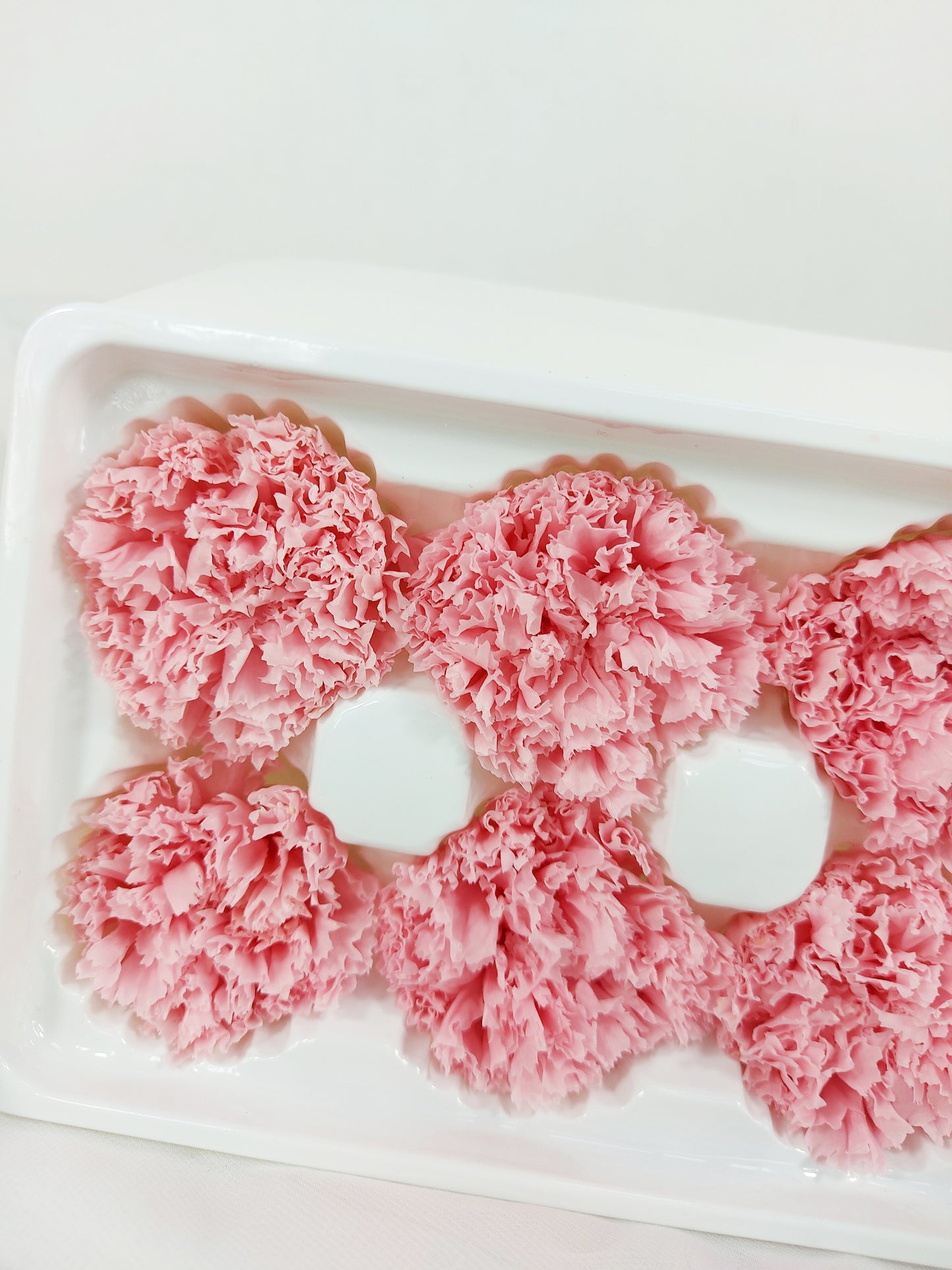 Batang Carnation Terpelihara - Merah Jambu