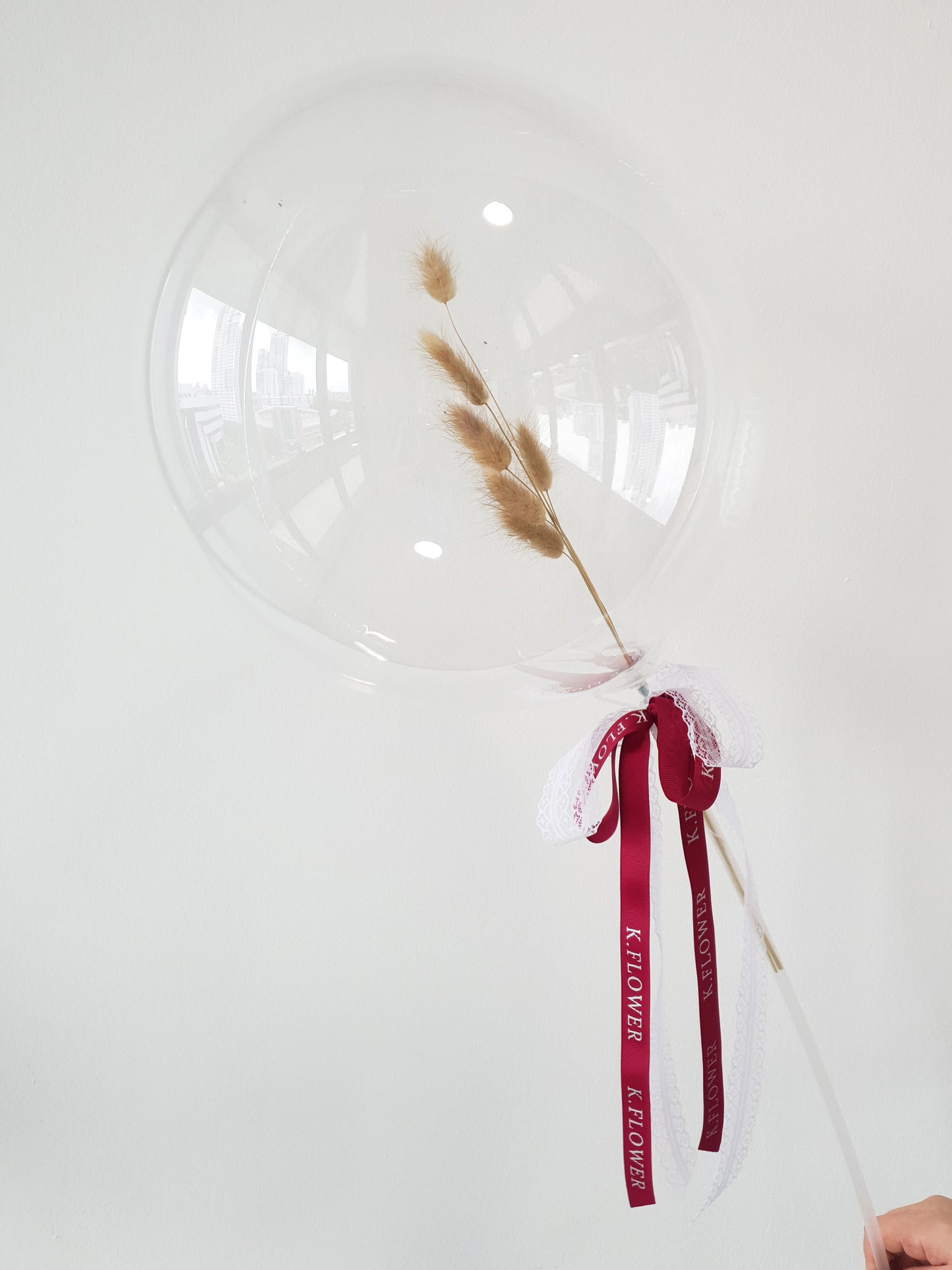 Gelembung Arnab ANGKASA