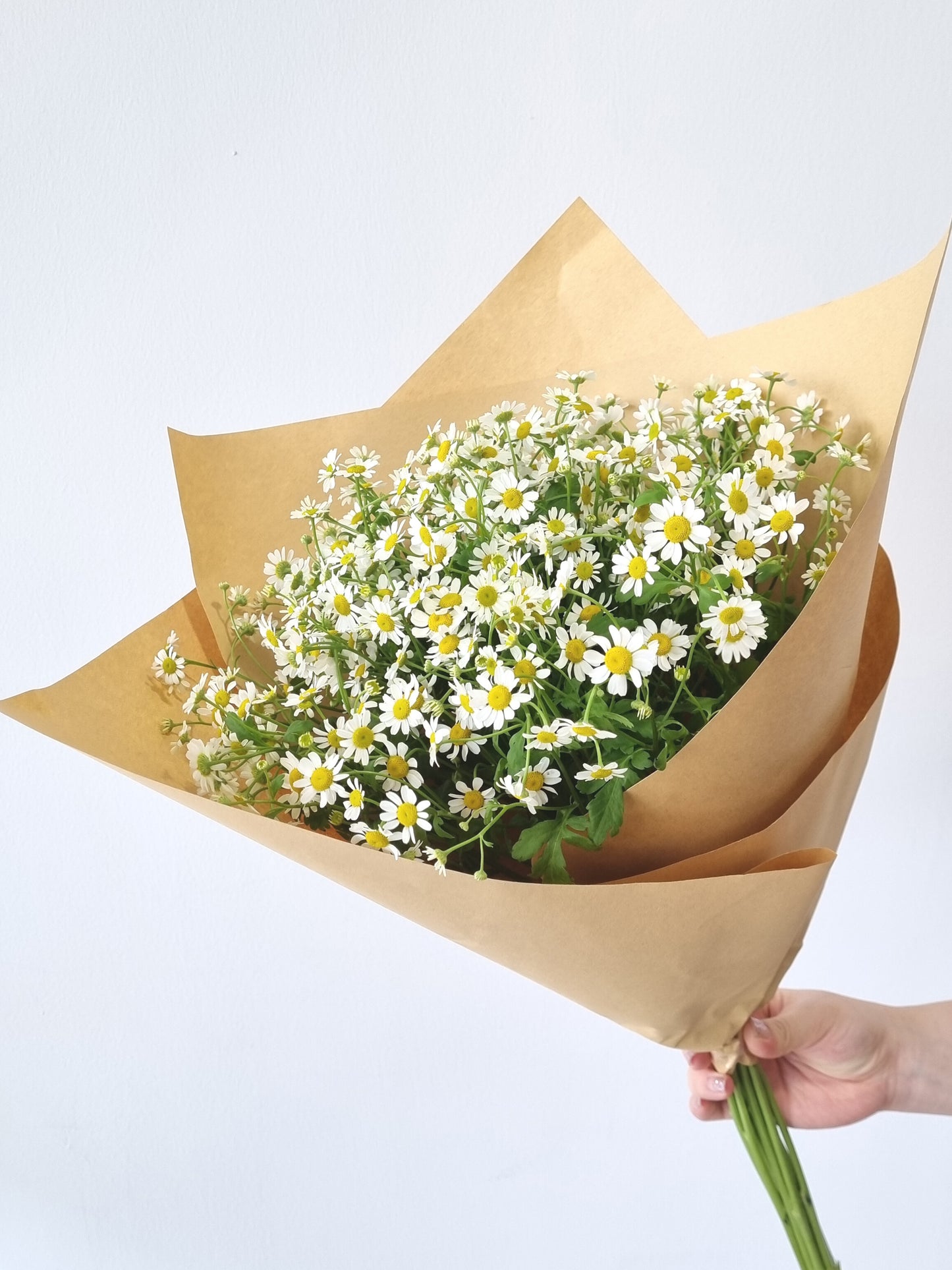 Chamomile , Flower Mart