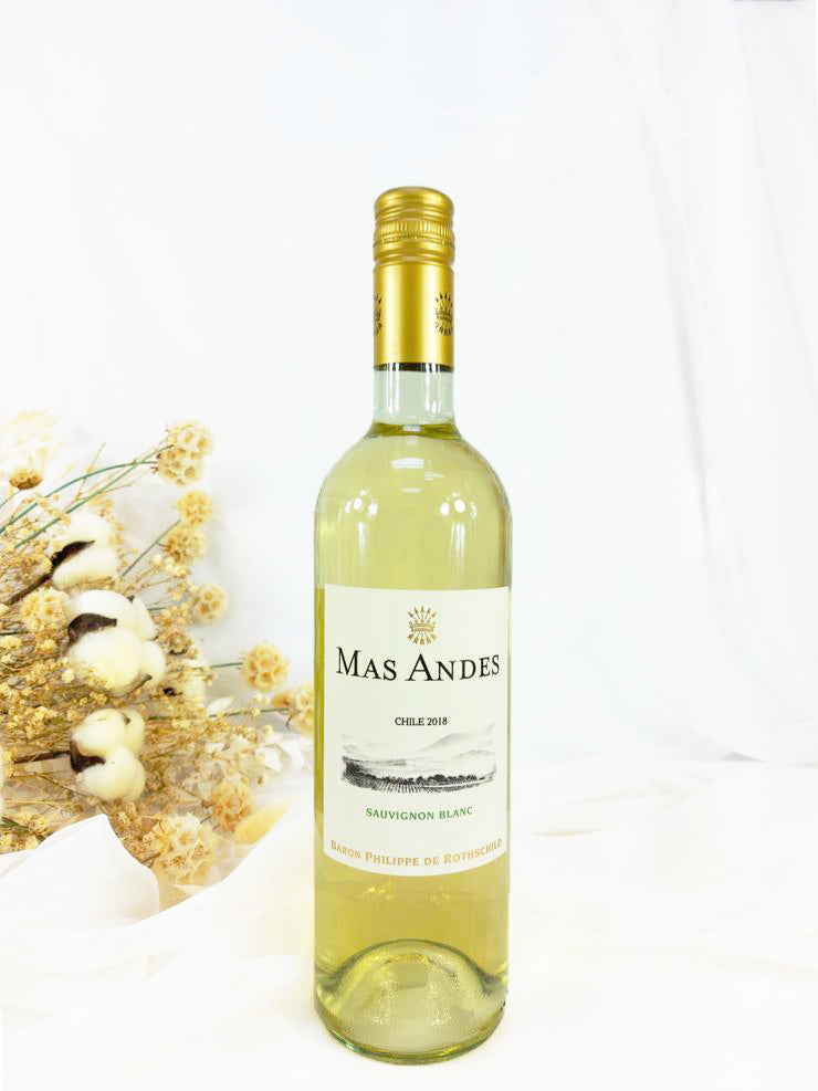 Mas Andes Sauvignon Blanc