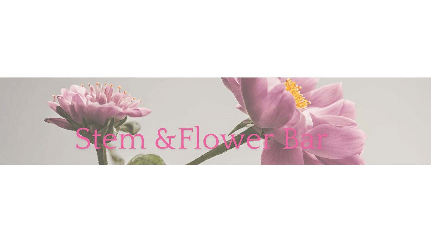 Stem & Flower Bar