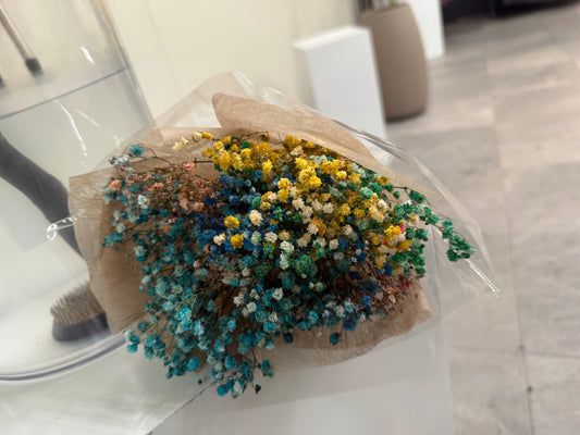 MIni Million Stars, Dried & Preserved