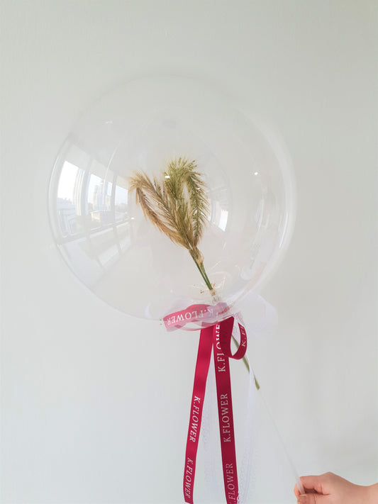 Gelembung Jantung SPACE