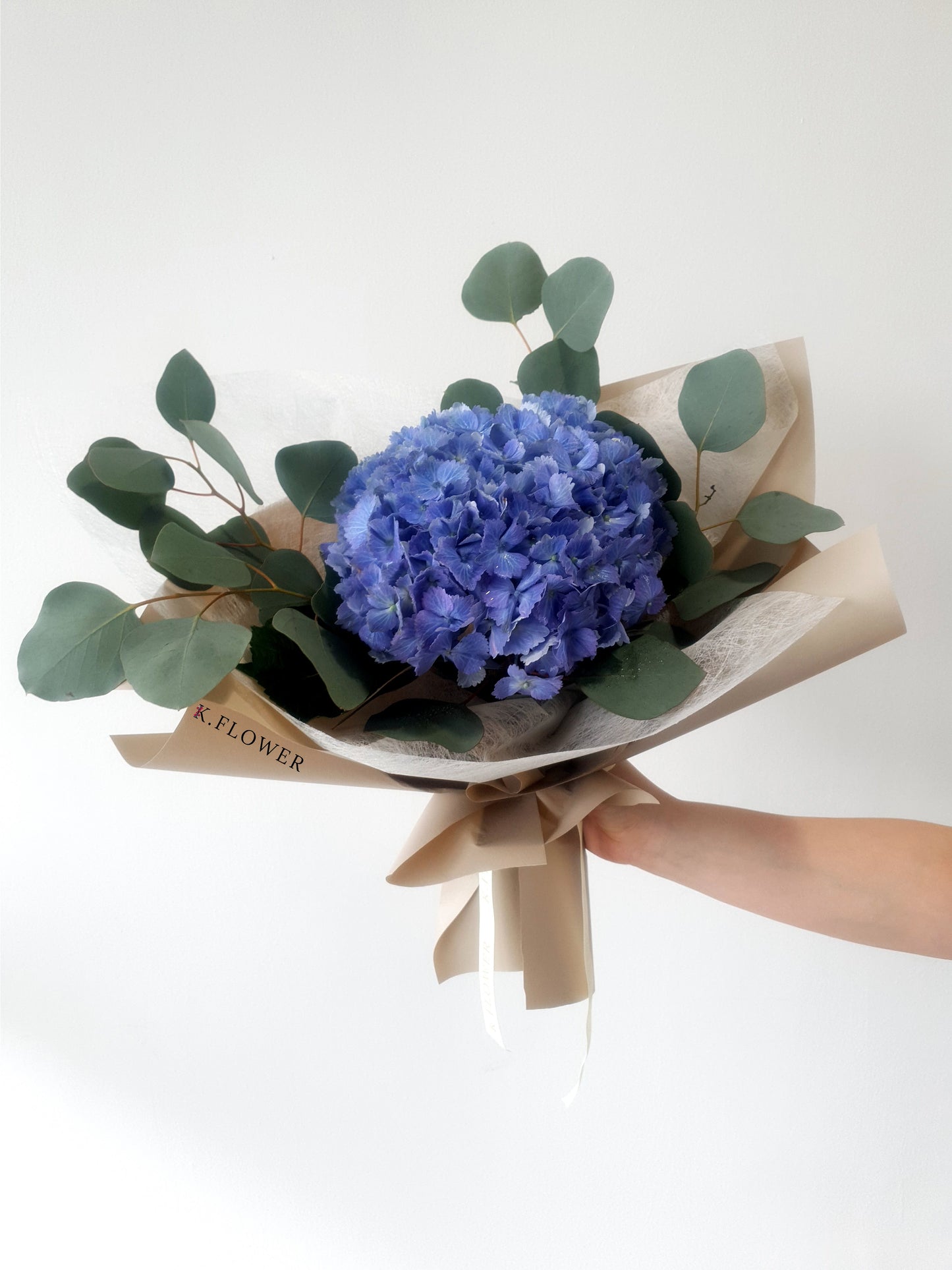 Bobo Hydrangea
