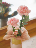 Le Mini Carnation, Tawaran Himpunan Hari Ibu