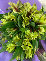 Peruvian Lily - K. FLOWER